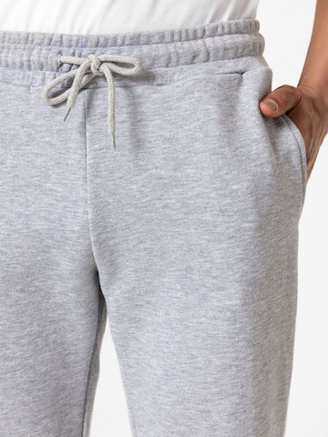 Williot Tapered Hose 'Esteban' in Grau