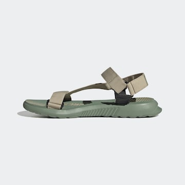 Sandales ADIDAS TERREX en vert