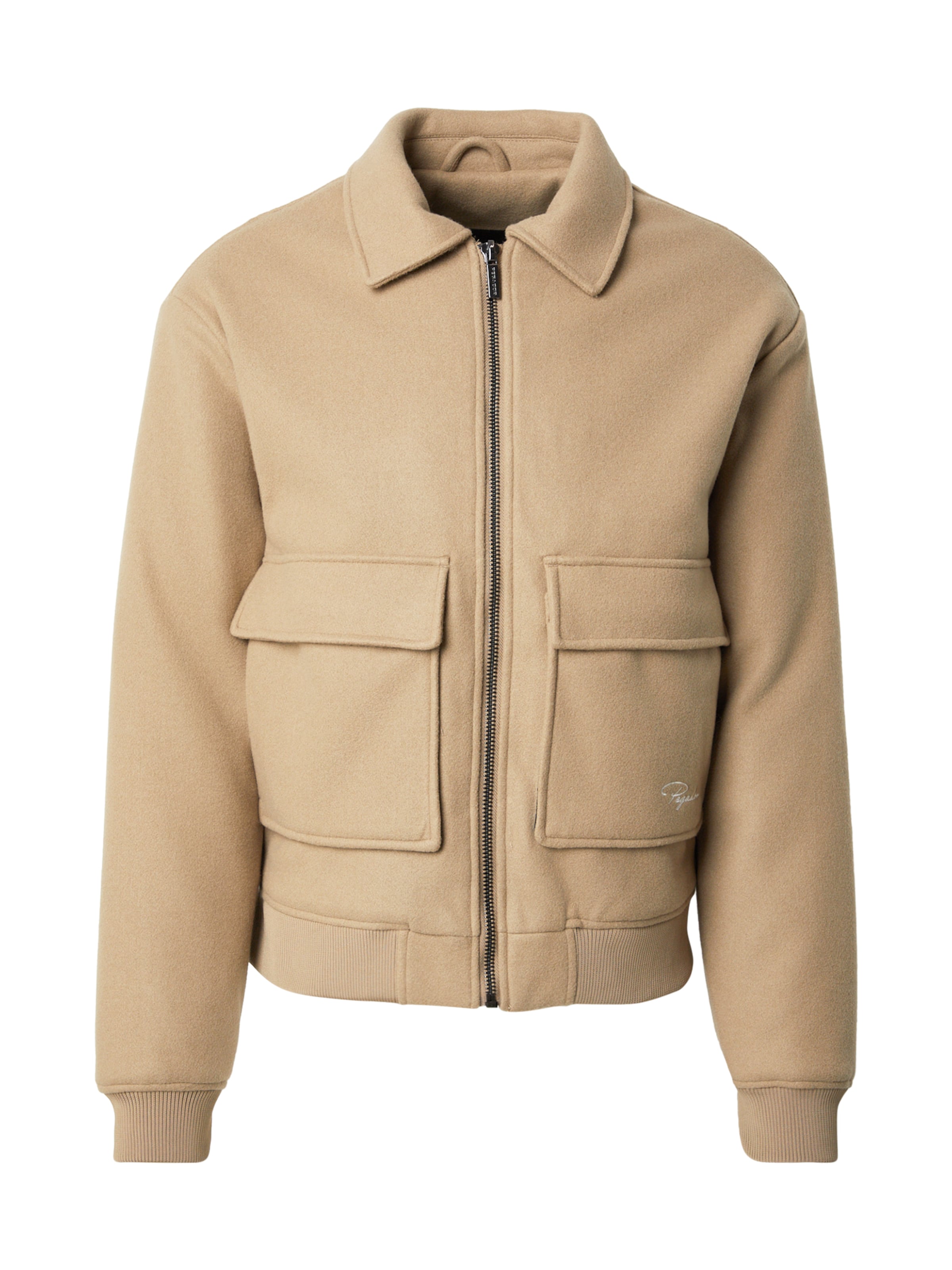 Pegador Демисезонная куртка 'AIKEN' в Коричневый: спереди