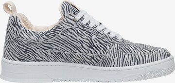 N91 Sneakers 'Bball M AA' in Grey