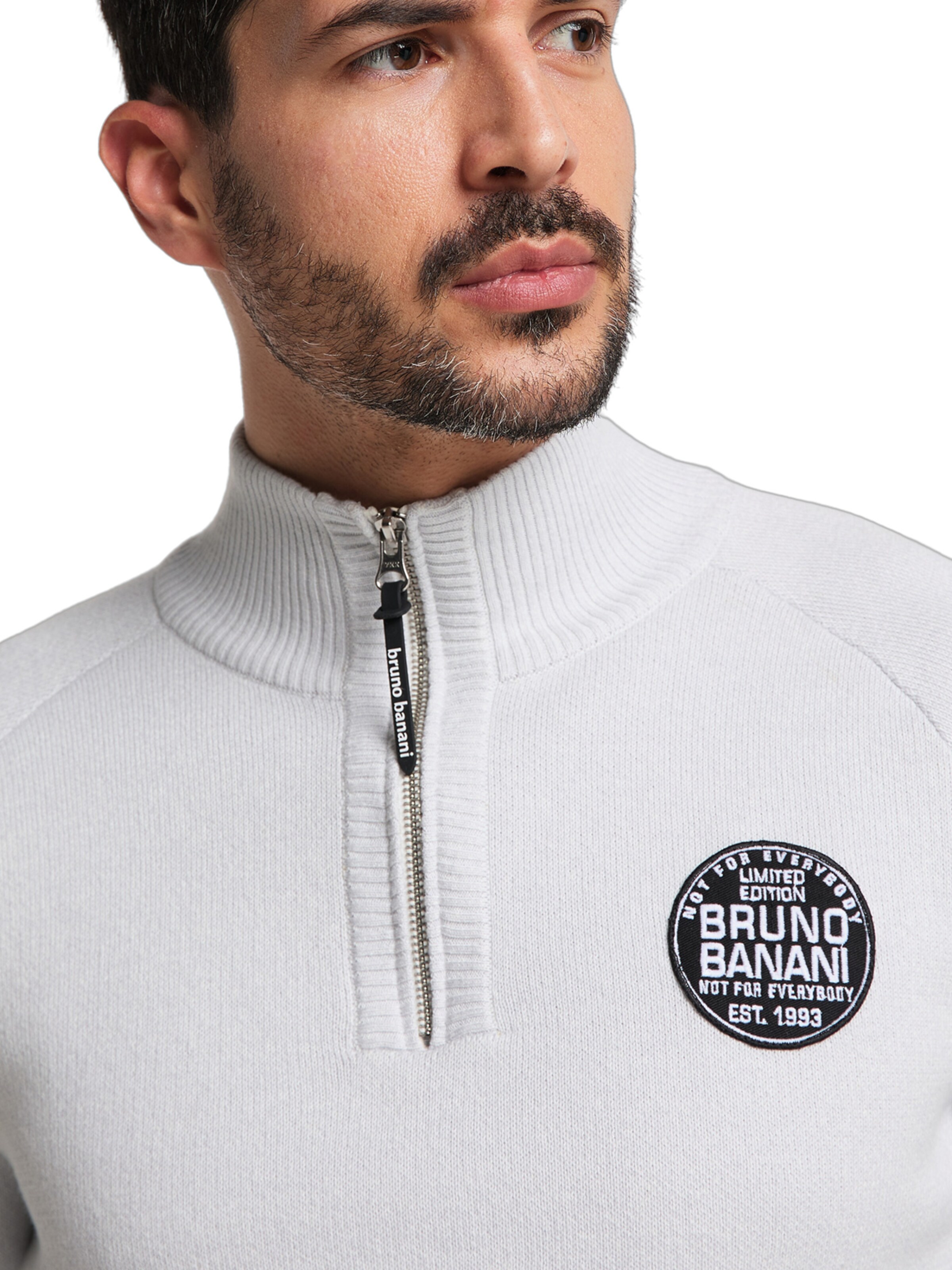 Bruno Banani Pullover ' BANKS ' in Grau