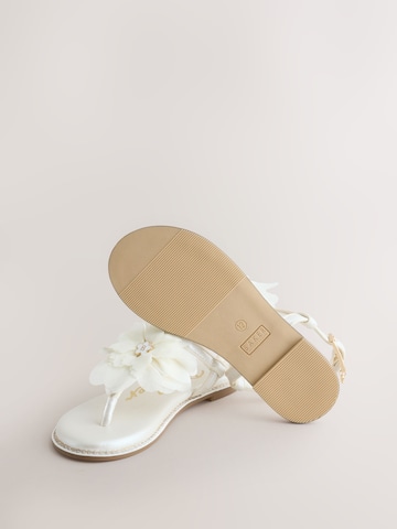 Sandalo di Baker by Ted Baker in bianco