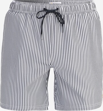 FARAH Athletic Swim Trunks 'COLBERT SEERSUCKER' in Blue: front