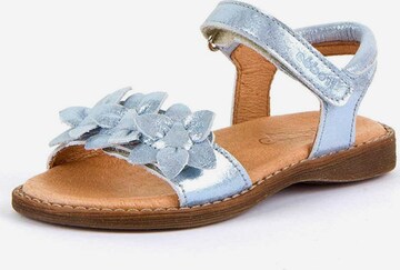 Froddo Sandals in Blue: front