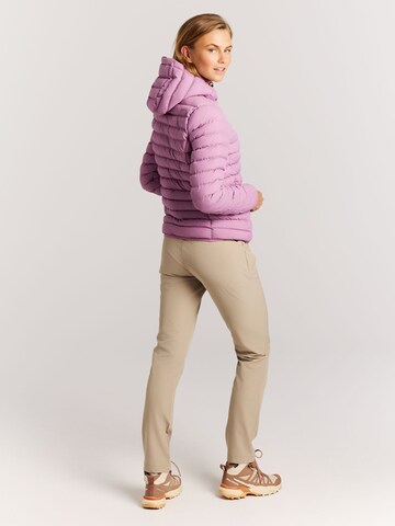 PROTEST Winter Jacket 'PRTICE' in Purple