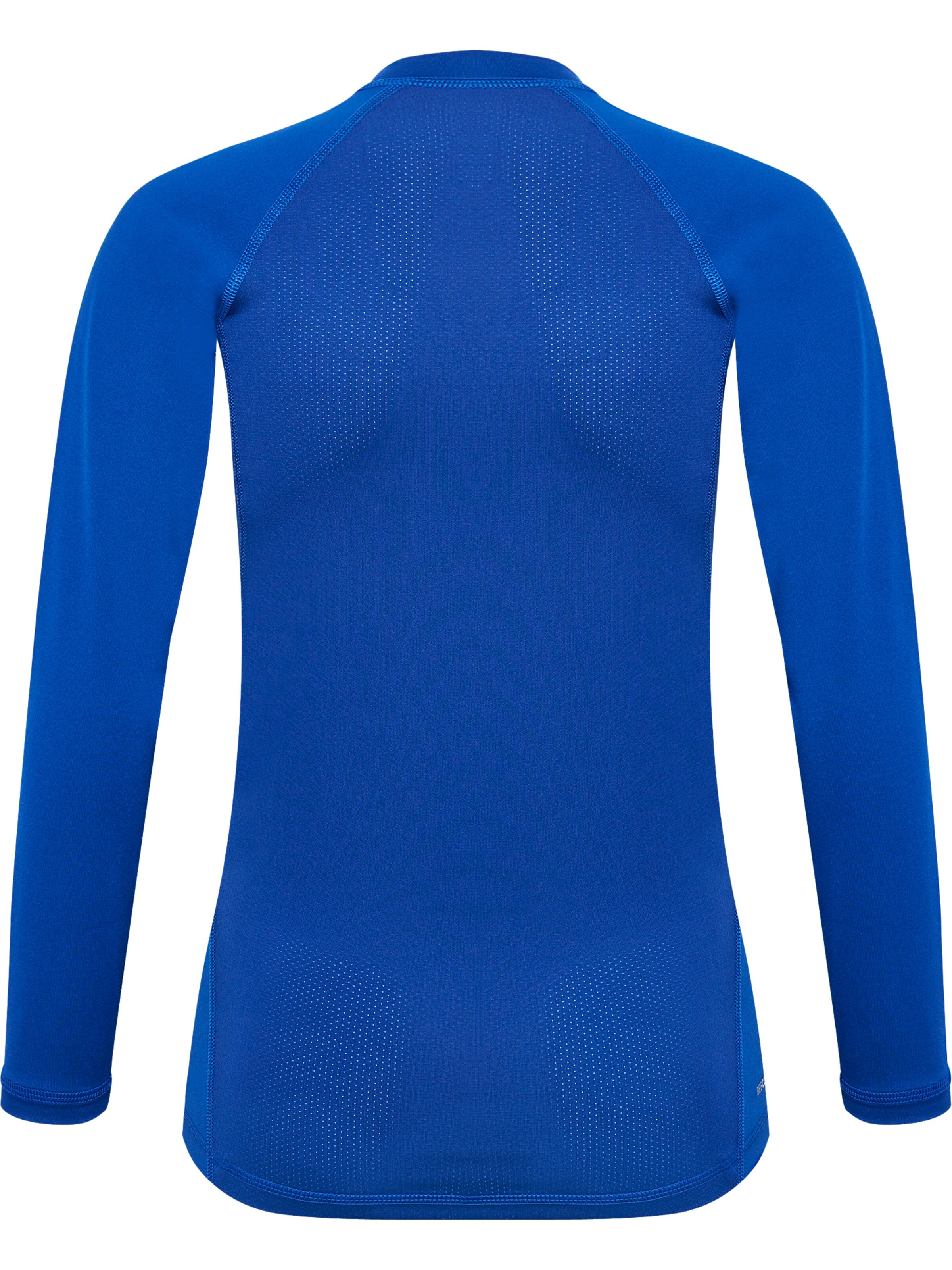 Hummel Funktionsshirt 'BL PERFORMANCE ' in Blau