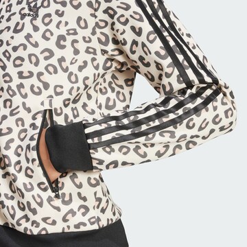 ADIDAS ORIGINALS Jacke in Schwarz