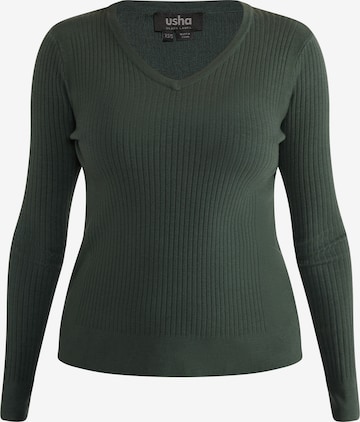 Pullover 'Nowles' di usha BLACK LABEL in verde: frontale