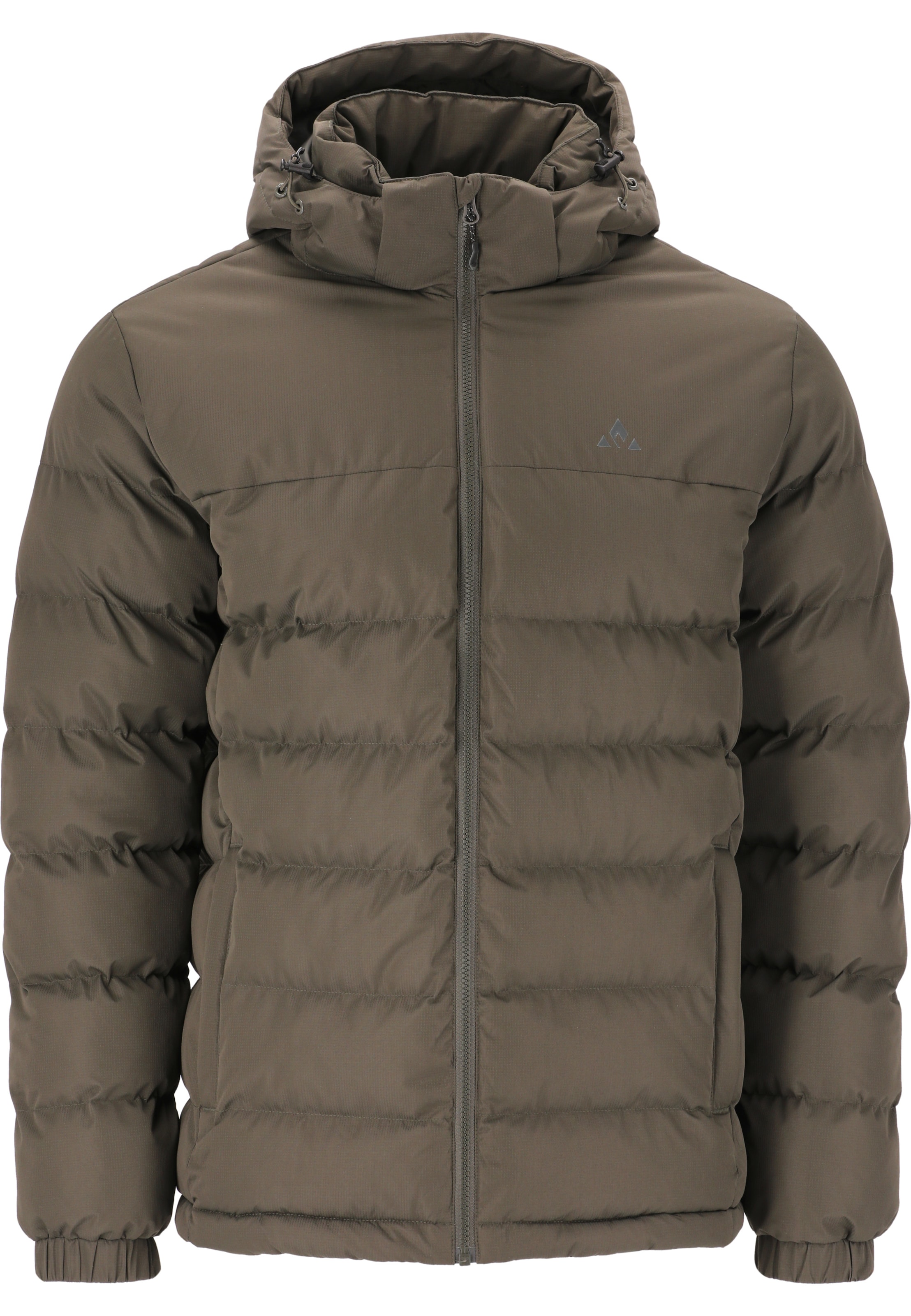 Whistler Between-season jacket 'CARSENO' in Green: front