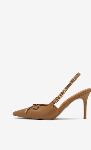 ruda Kazar Basutės: priekis