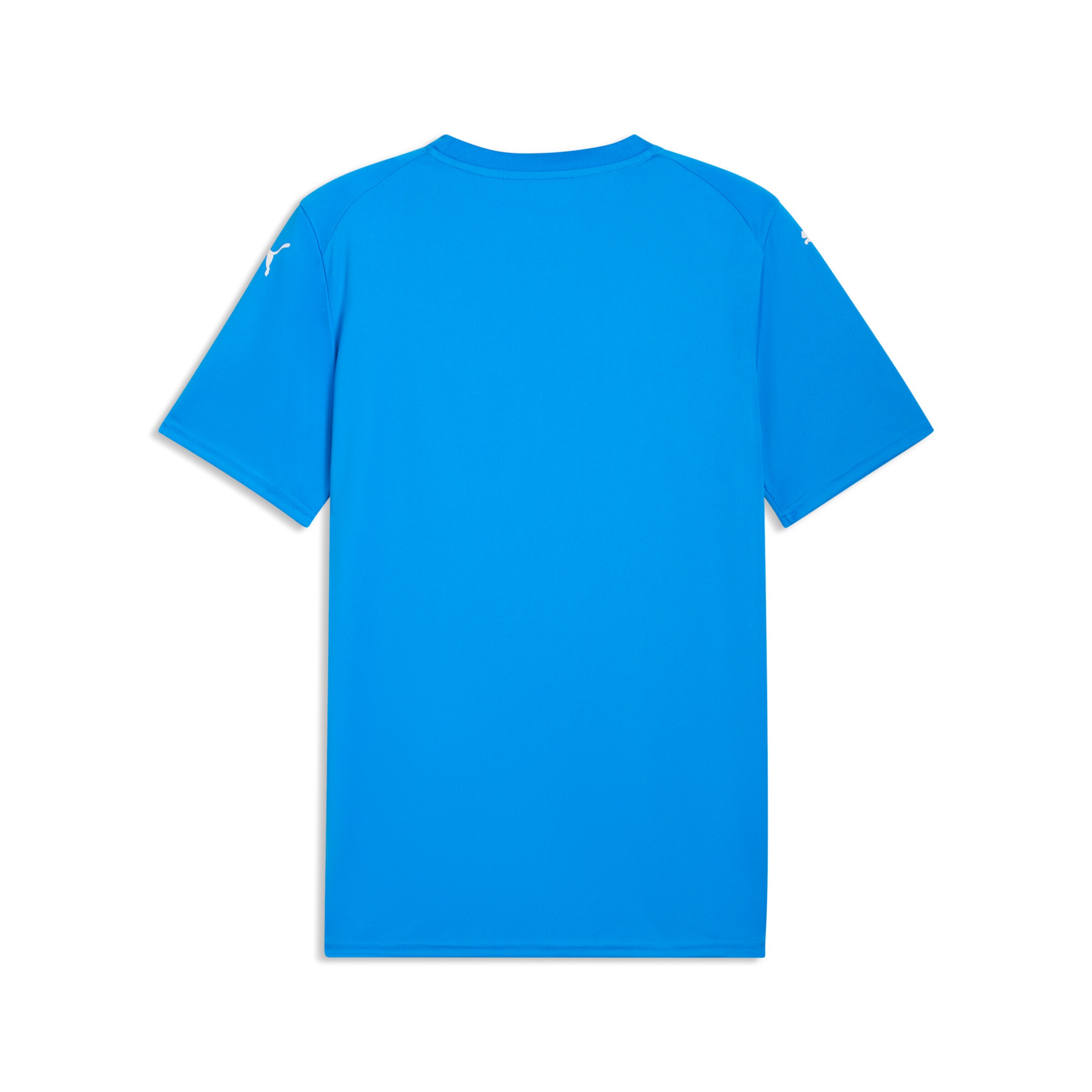 PUMA Performance Shirt in Blue