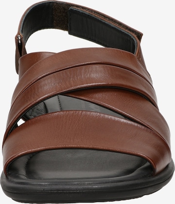 SIOUX Sandals ' Milito ' in Brown