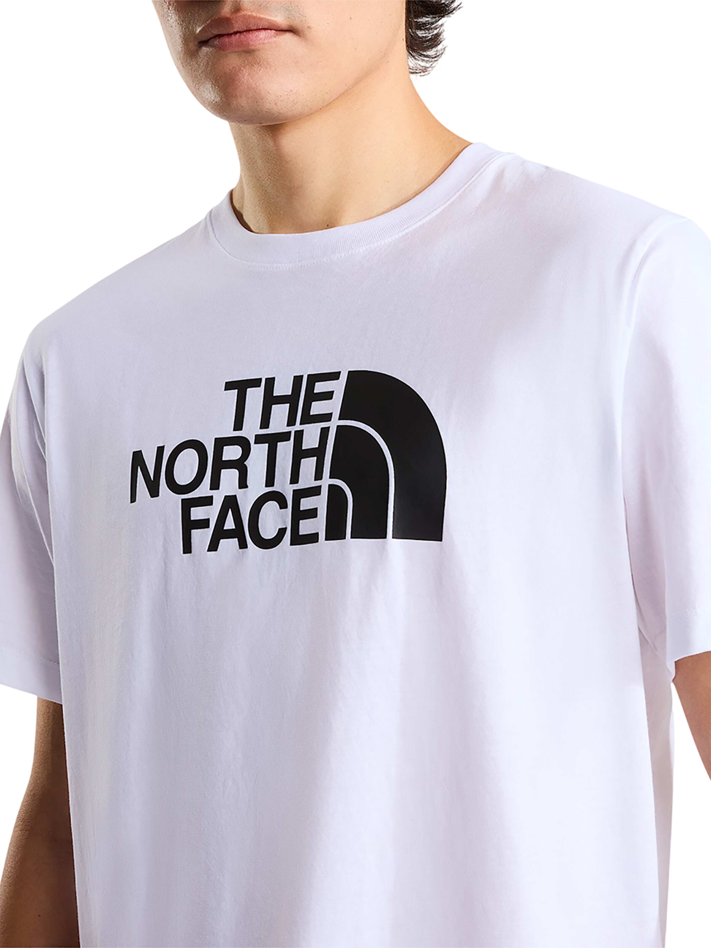 THE NORTH FACE Shirt 'Evolution Half Dome Regular'‌ in Weiß