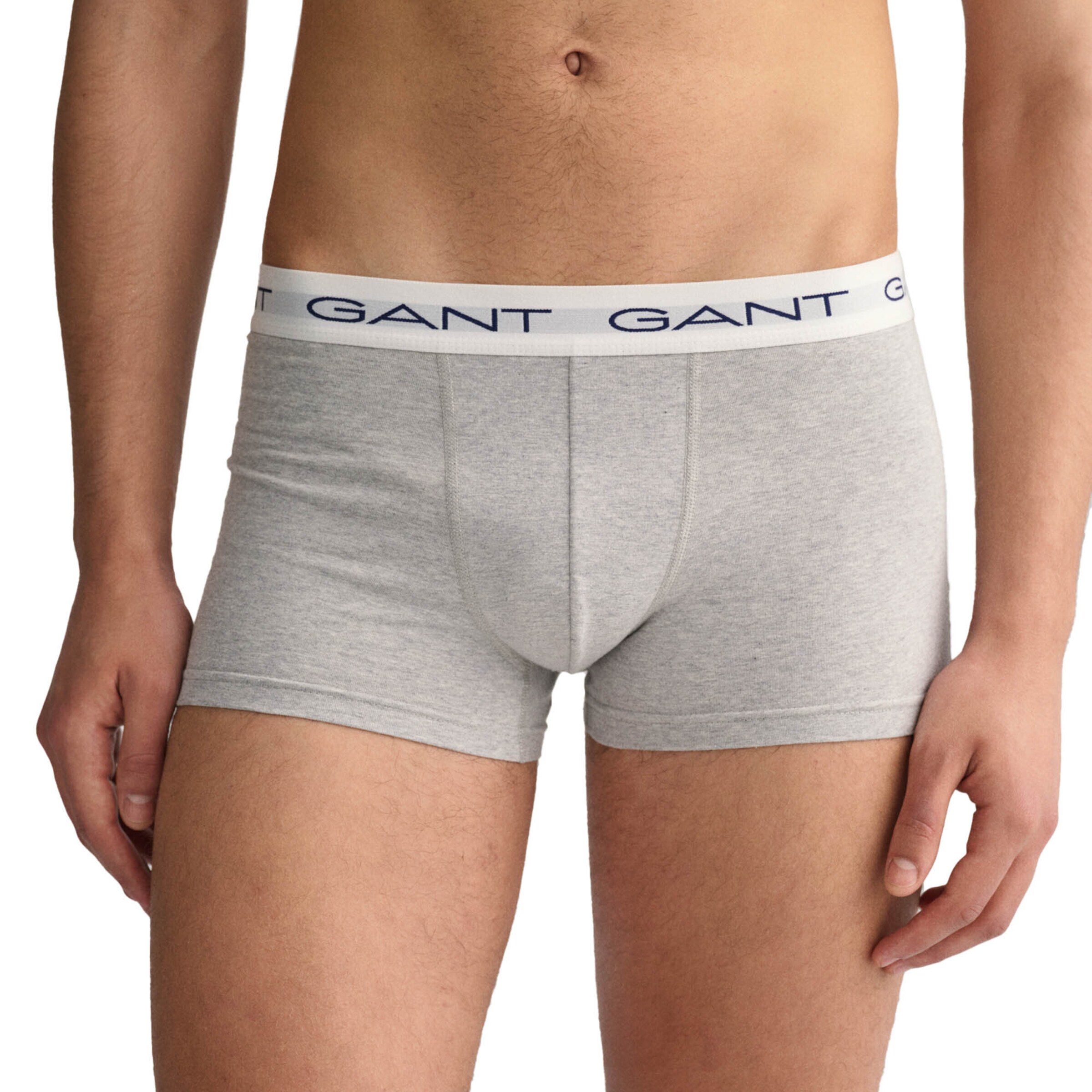 Boxer di GANT in grigio
