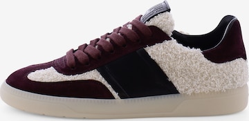 Baskets basses ' POP ' Kennel & Schmenger en rouge : devant