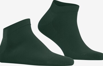 FALKE Socks 'Cool 24/7' in Green: front