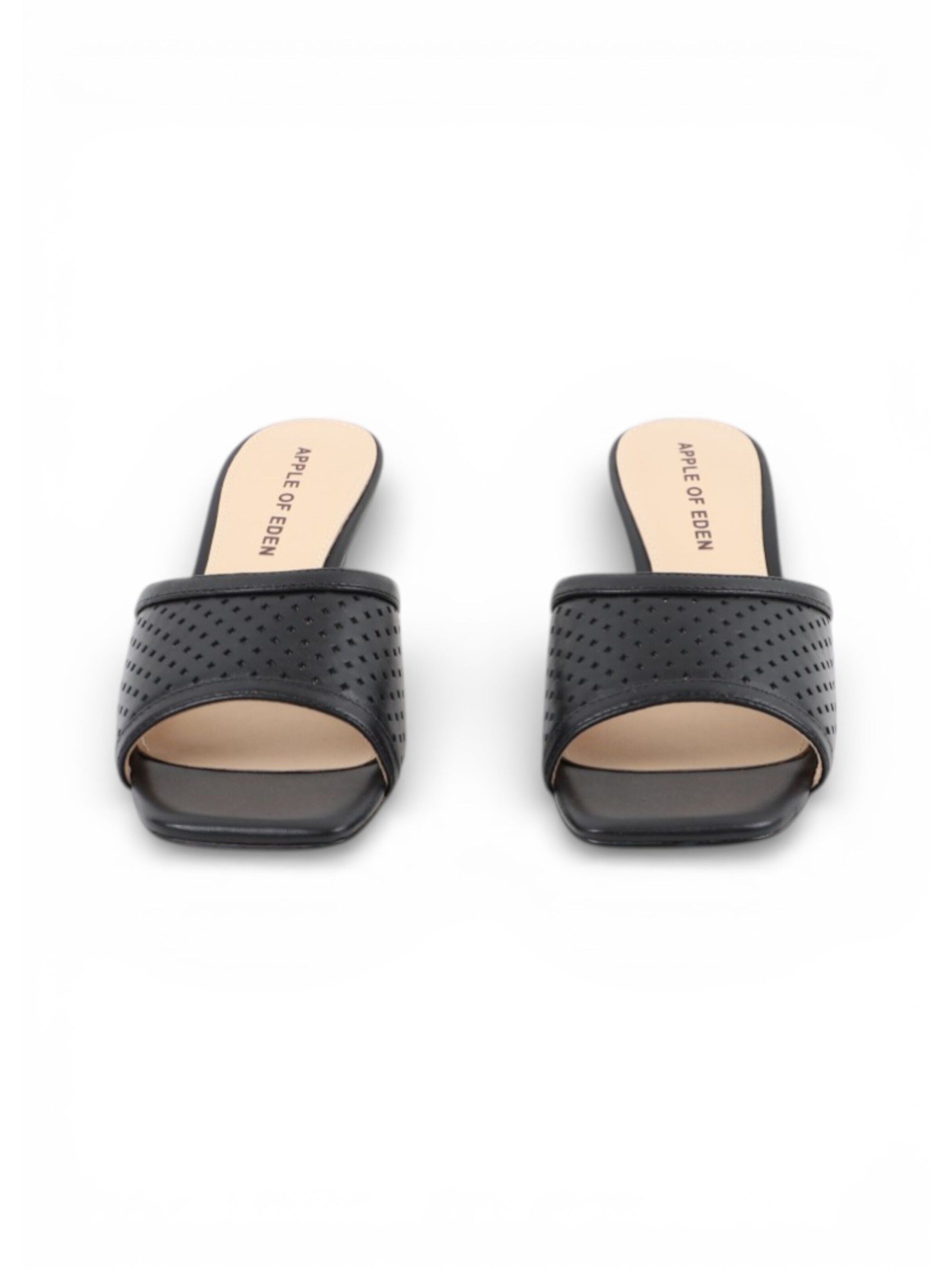 Apple of Eden Pantoletten 'HOLLEY', ca.5,5cm Absatz in Schwarz