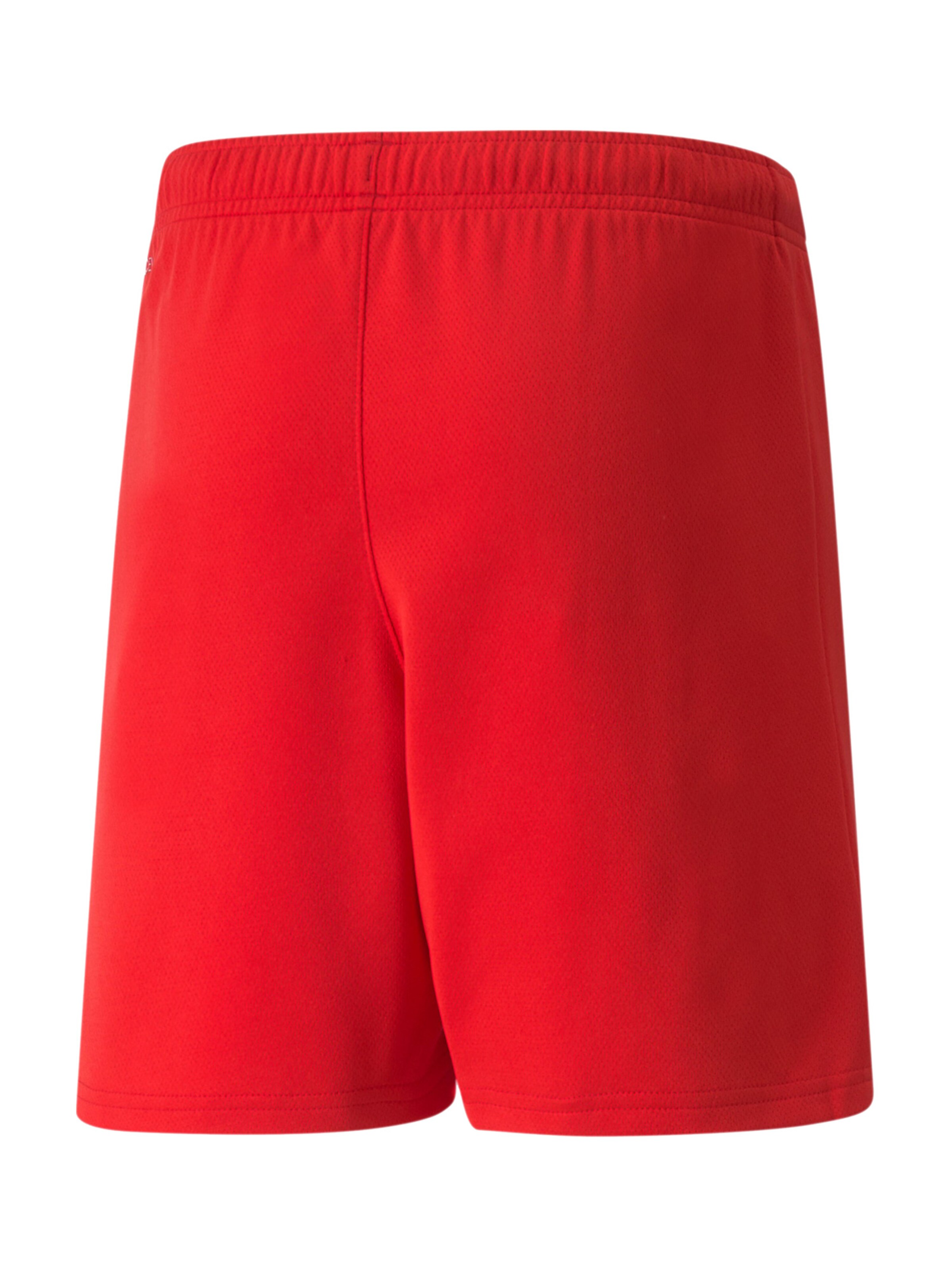 Regular Pantalon de sport 'TeamRise' PUMA en rouge