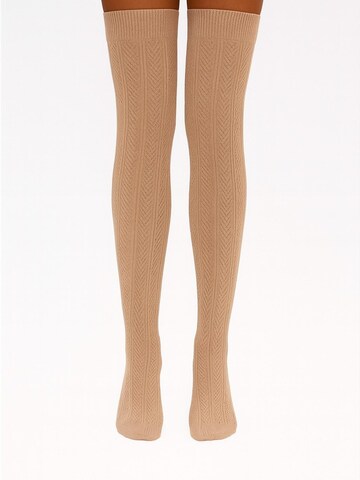 Lycille Over the Knee Socks 'Lycille' in Beige: front