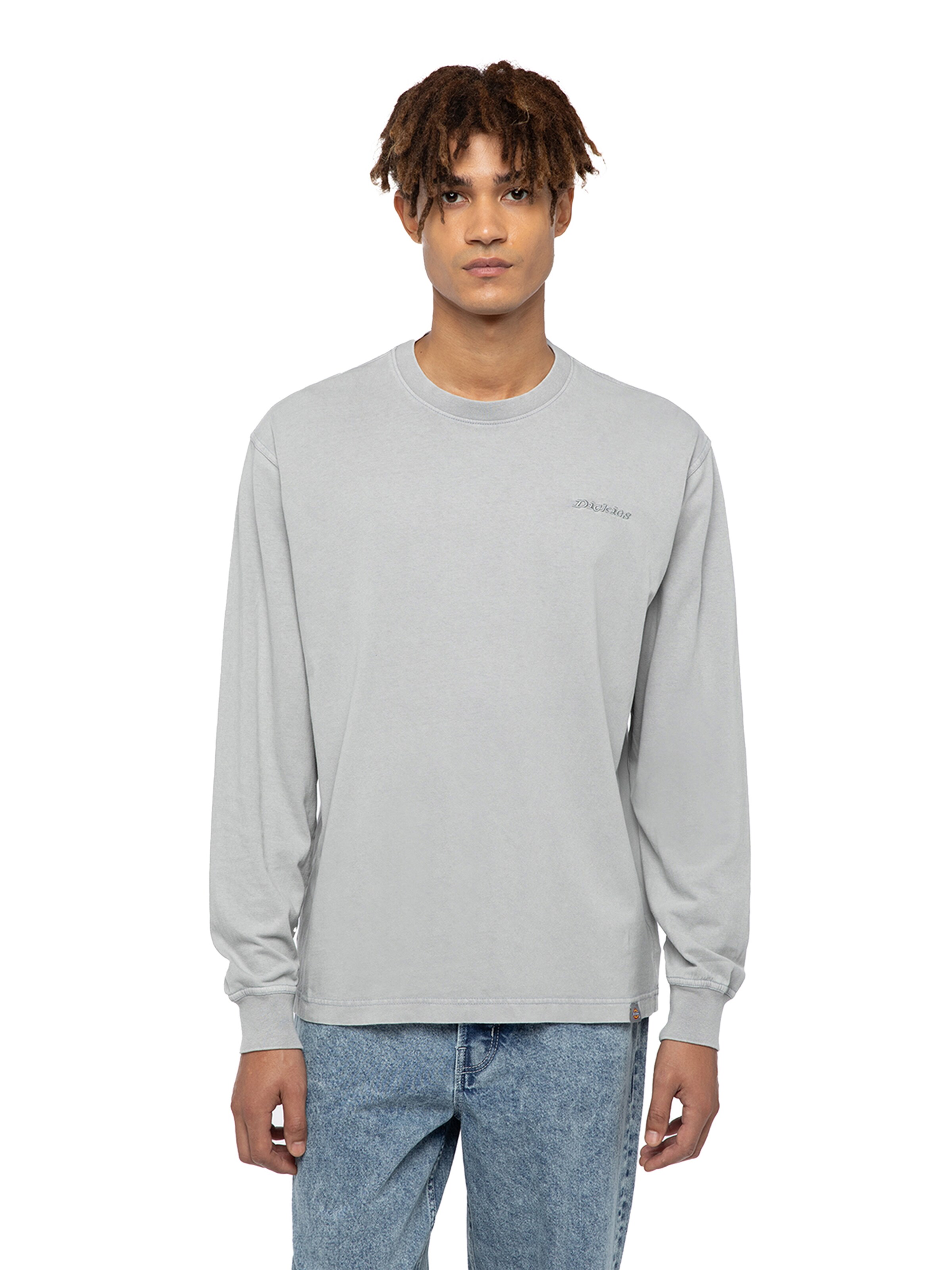 DICKIES Μπλουζάκι 'PLENTYWOOD' σε γκρι: μπροστά