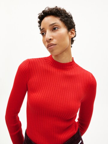 ARMEDANGELS Strickpullover ALAANIA in Rot