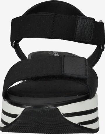 GEOX Sandals in Black