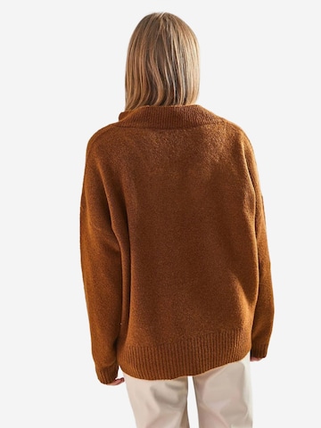 Bianco Lucci Kampsun 'Pullover', värv pruun