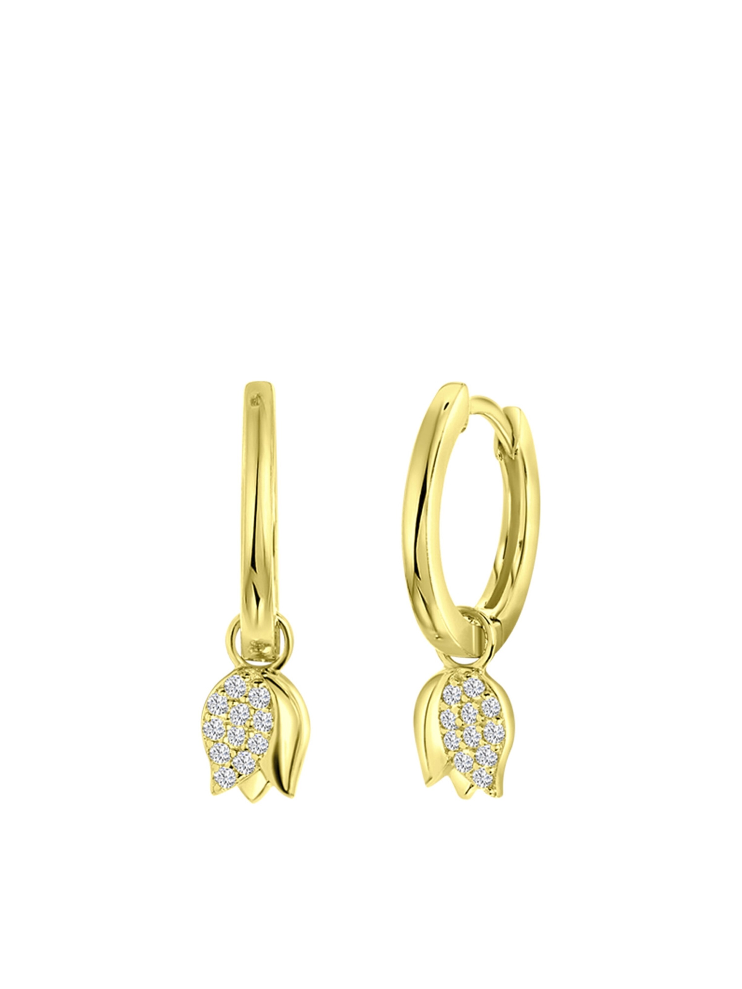 Lucardi Earrings in Gold: front