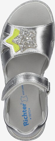 RICHTER Sandals in Silver