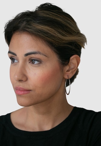 Heideman Earrings in Silver: front