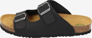 DR. BRINKMANN Pantolette 'Bonillo' in Schwarz: Vorderseite