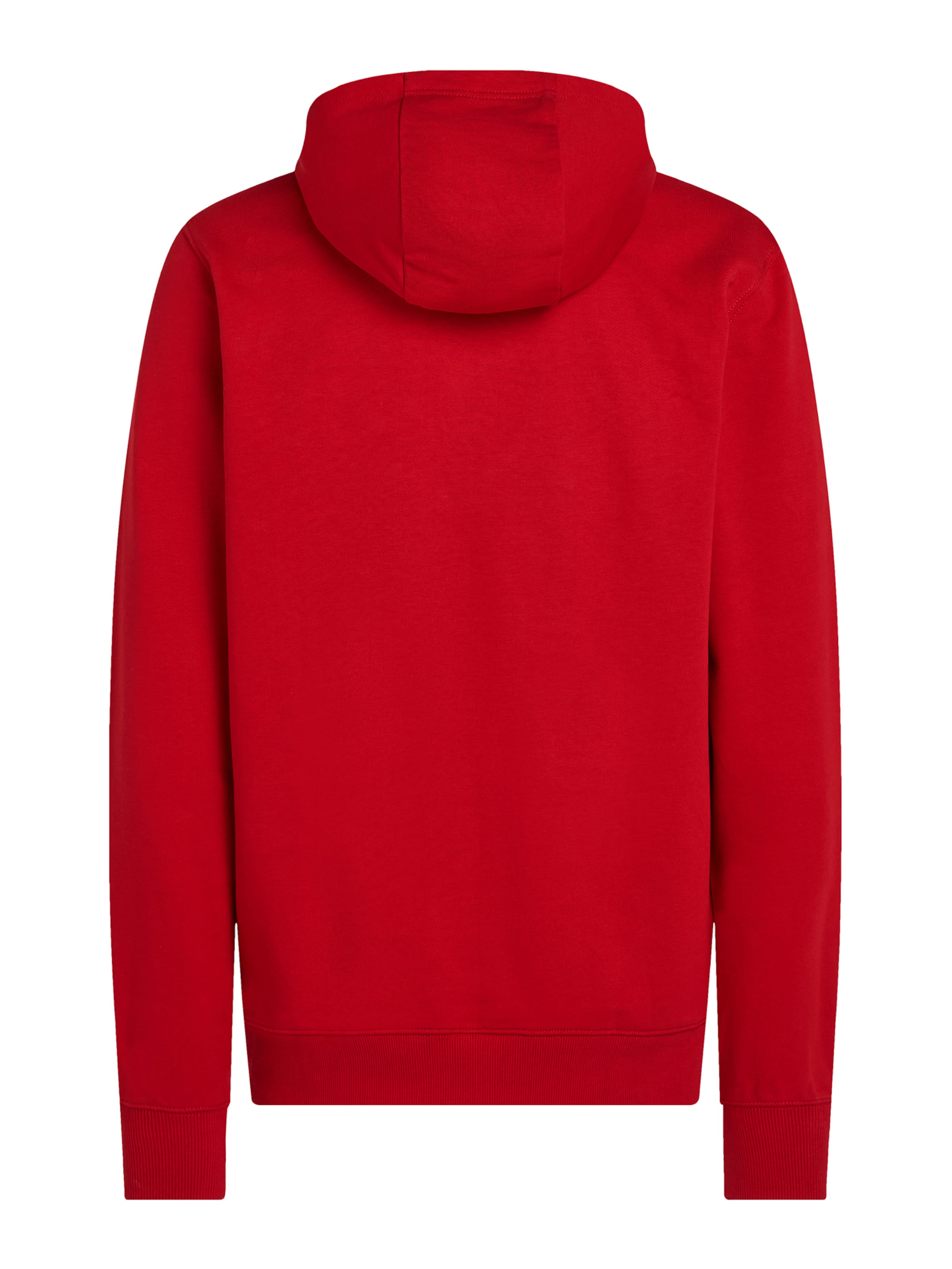 TOMMY HILFIGER Sweatshirt in Red
