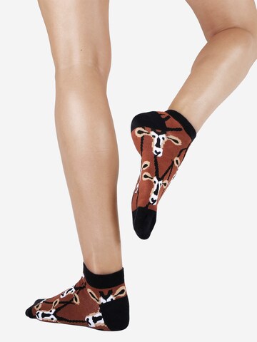 UNABUX Sokken in Bruin: voorkant