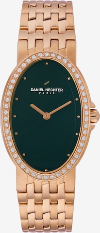 Daniel Hechter Watches Uhr in Gold: predná strana