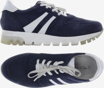 TAMARIS Sneakers & Trainers in 39 in Blue: front