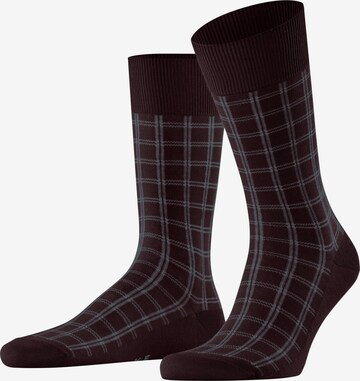 FALKE Socks in Red: front