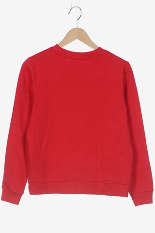 TOMMY HILFIGER Sweater S in Rot