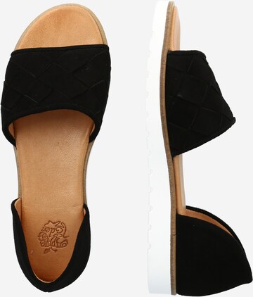 Apple of Eden - Sandalias en negro