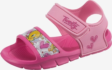 Looney Tunes Sandals in Pink: front