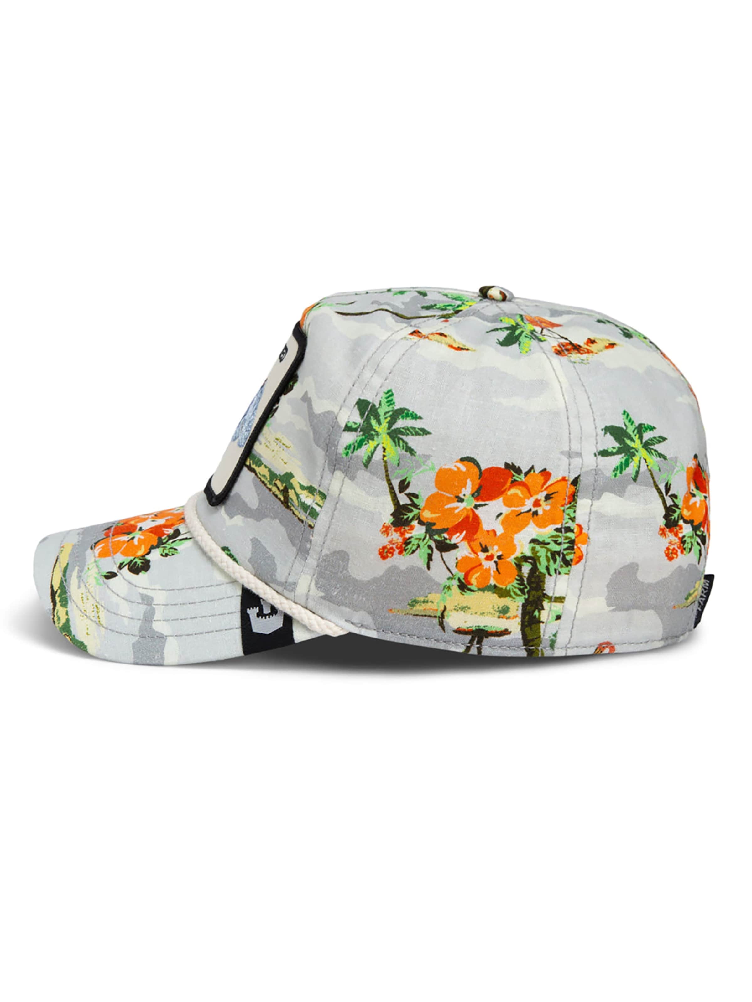 GOORIN Bros. Cap 'Nailed It' in Mixed colors