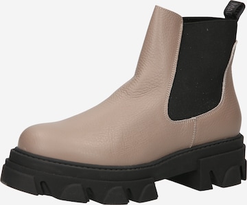 Boots chelsea 'MIXTURE' di STEVE MADDEN in grigio: frontale