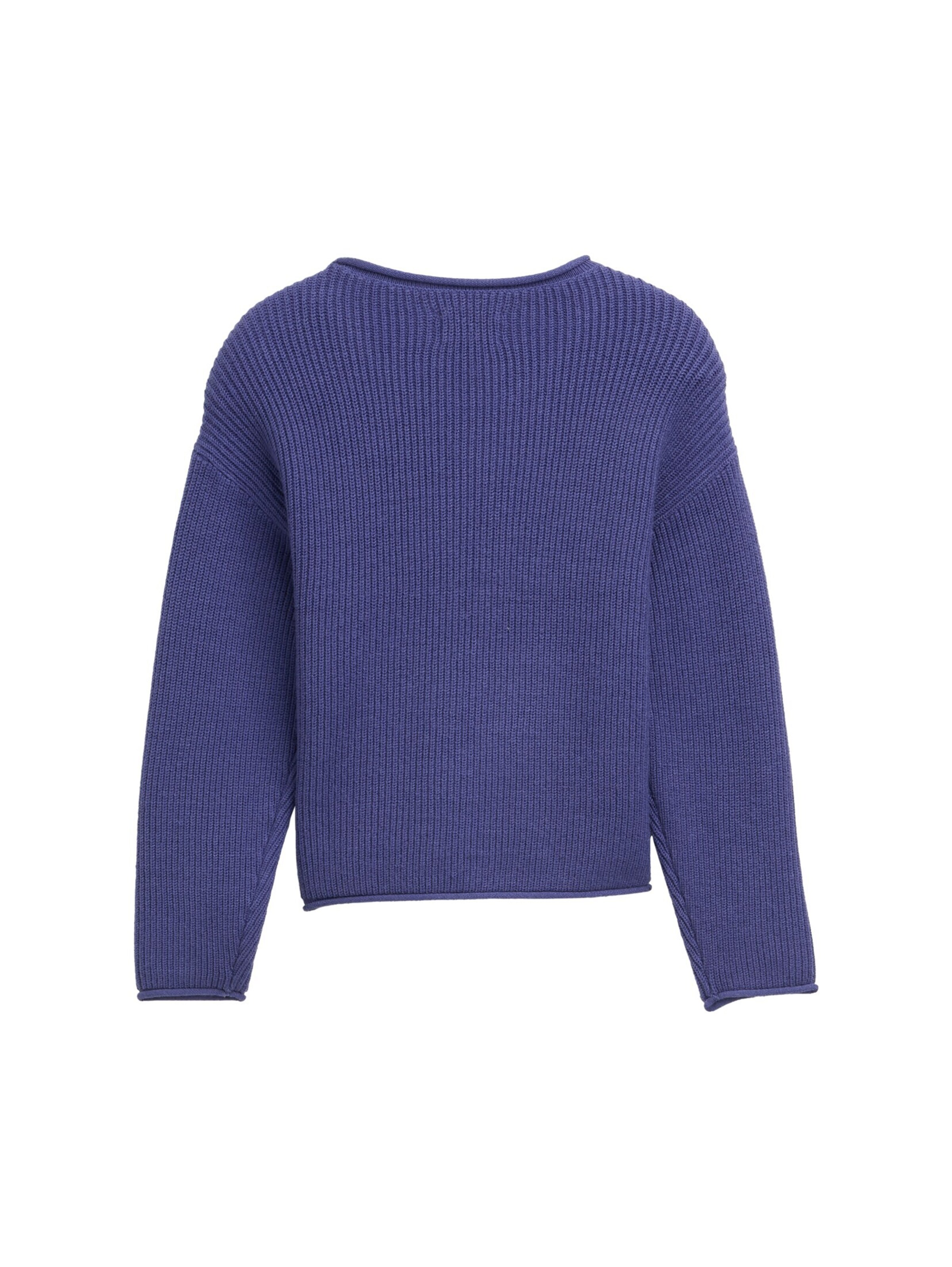 TOM TAILOR Pullover in Blau