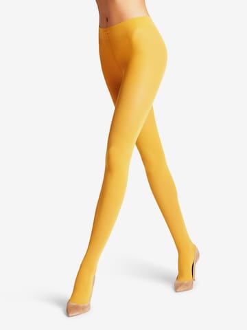 FALKE Tights 'Pure Matt' in Brown: front