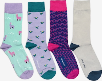 Chaussettes ''ZEFYR EDITION Gift box 4 Pack Unisex' The Arctic Bay en mélange de couleurs : devant