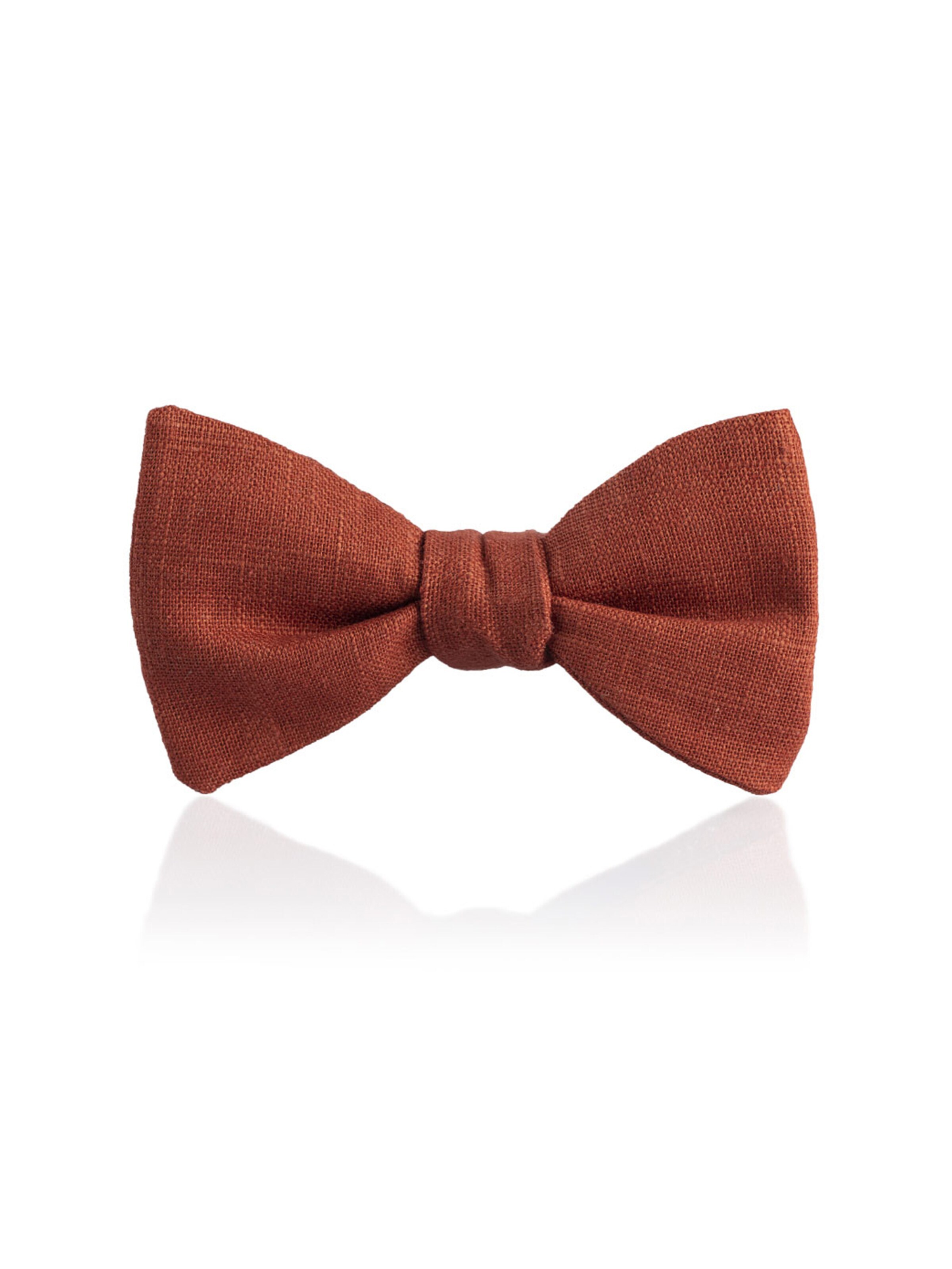 FAFIGO Bow Tie 'Set Orlando' in Brown
