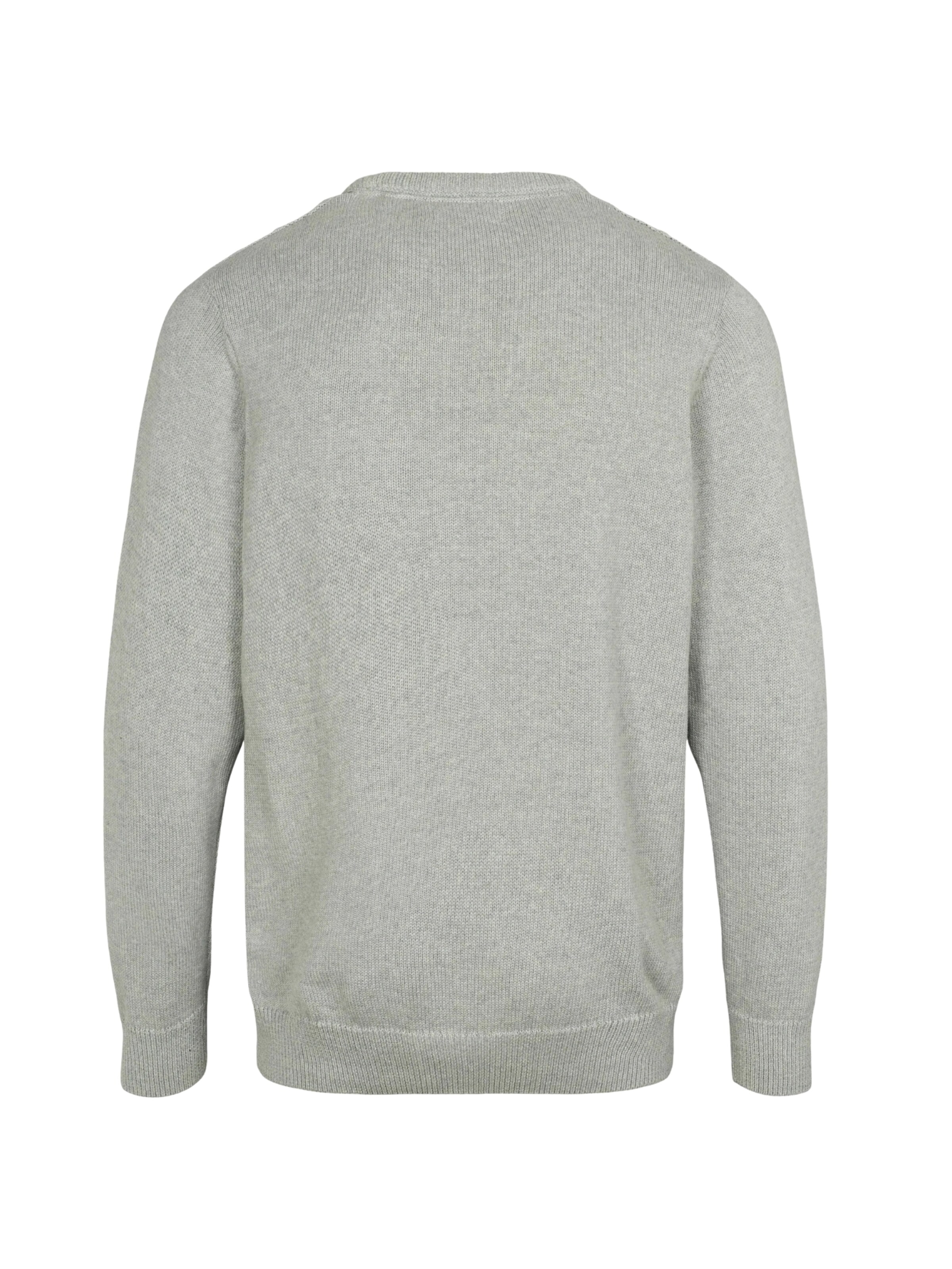 U.S. POLO ASSN. Pullover 'Remy' i grå