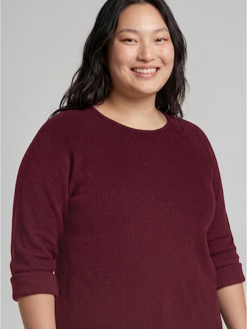 Tom Tailor Women + - Pullover em roxo