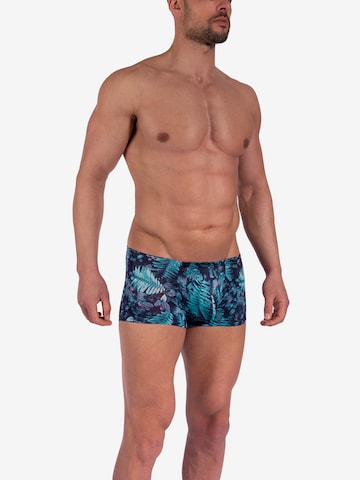Boxers ' RED2362 Minipants ' Olaf Benz en bleu : devant