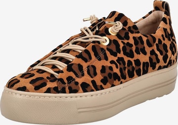 Baskets basses Paul Green en marron : devant