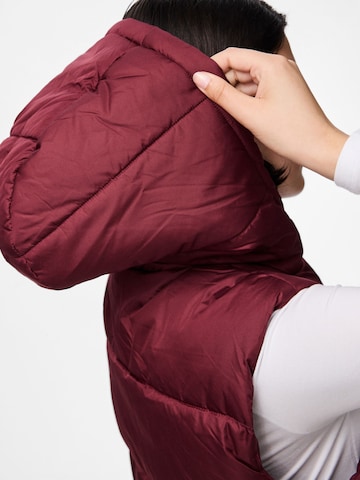 PIECES Bodywarmer 'PCBee' in Rood